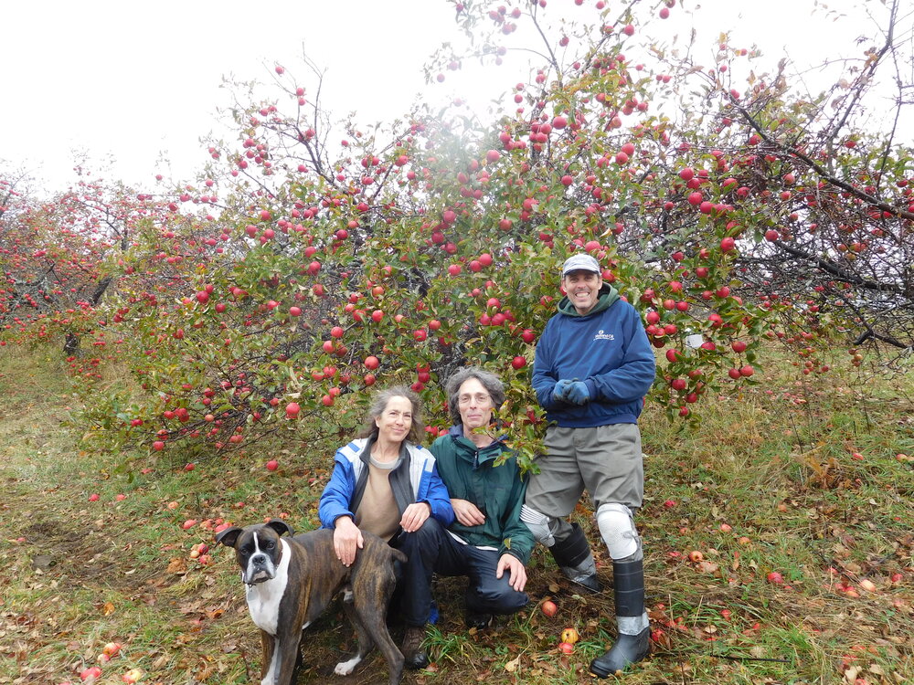 Flag Hill Farm Agroforestry, the hard cider renaissance, and fruitful